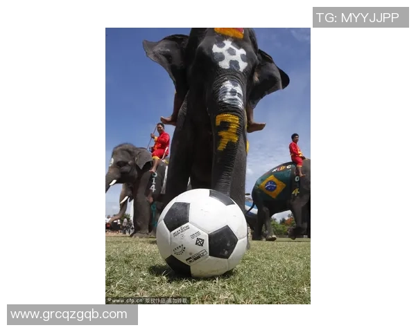 从绿茵场到世界舞台足球运动员出身的传奇球星们的崛起之路 从绿茵场到世界舞台足球运动员出身的传奇球星们的崛起之路